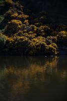 Pablo BAILLEUL - Bailleul